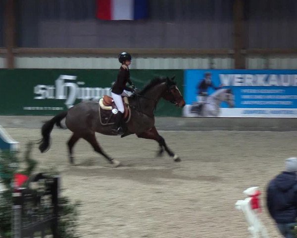 Nordic Jumping events 2018