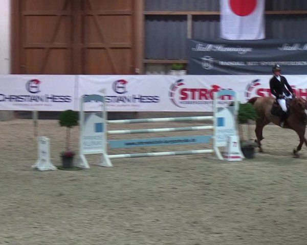 Nordic Jumping events 2018