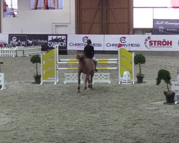 Nordic Jumping events 2018
