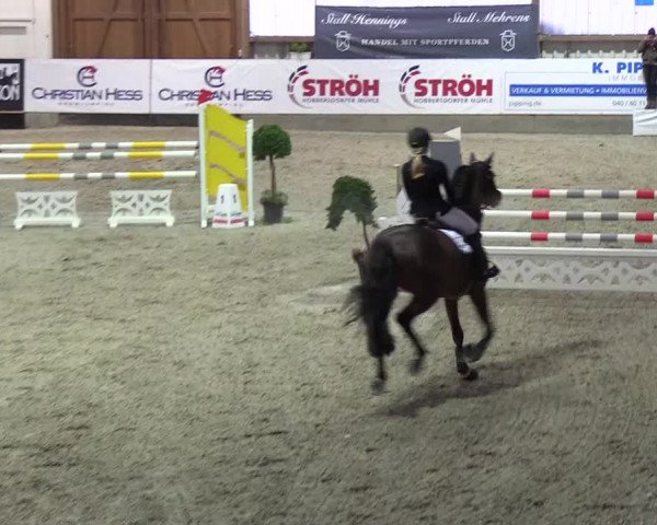 Nordic Jumping events 2018