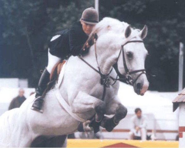 Deckhengst Casi (Zweibrücker, 1989, von Calvin Z)