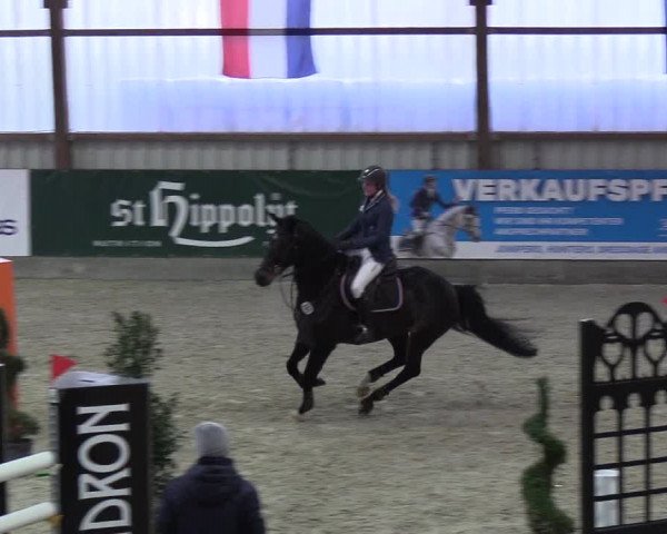 Nordic Jumping events 2018