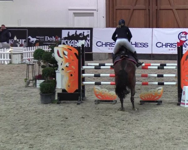 Nordic Jumping events 2018