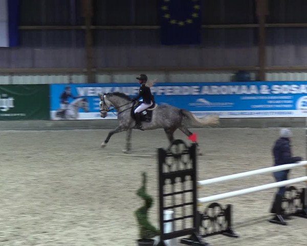 Nordic Jumping events 2018
