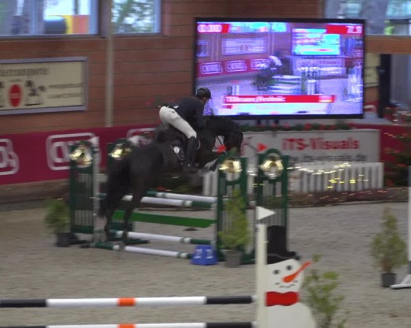 Reitturnier Mönchengladbach-Wickrath 2018