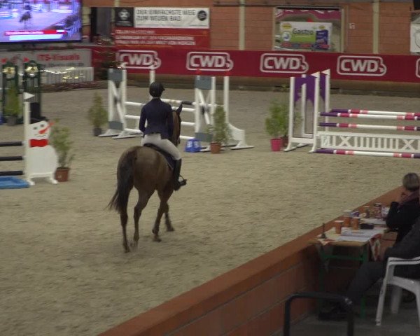 Reitturnier Mönchengladbach-Wickrath 2018