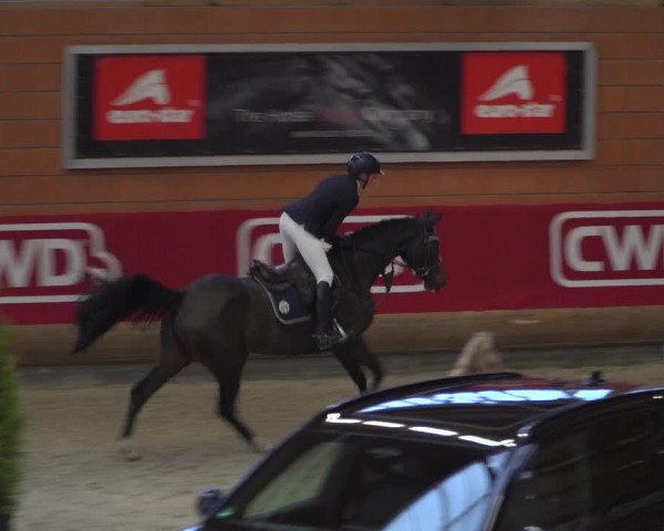 Reitturnier Mönchengladbach-Wickrath 2018
