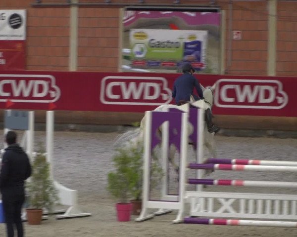 Reitturnier Mönchengladbach-Wickrath 2018