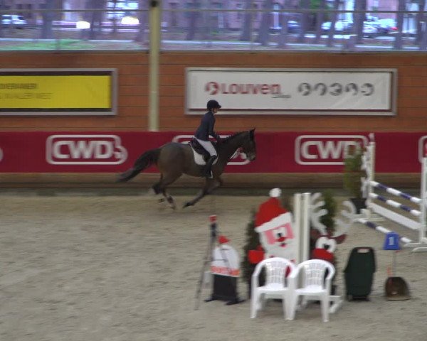 Reitturnier Mönchengladbach-Wickrath 2018