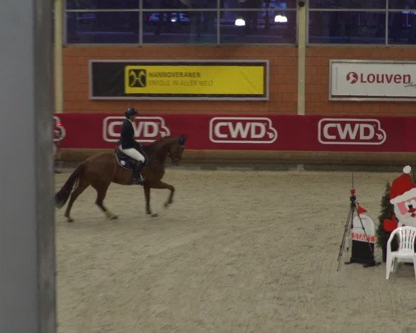 Reitturnier Mönchengladbach-Wickrath 2018
