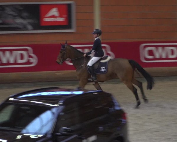 Reitturnier Mönchengladbach-Wickrath 2018