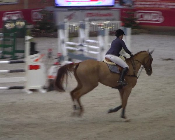 Reitturnier Mönchengladbach-Wickrath 2018