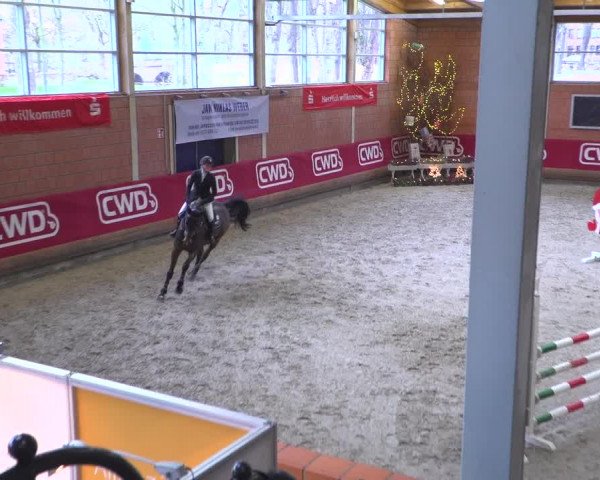 Reitturnier Mönchengladbach-Wickrath 2018
