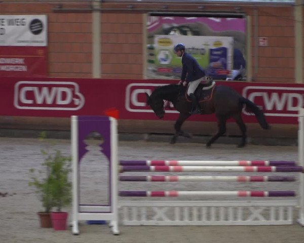 Reitturnier Mönchengladbach-Wickrath 2018