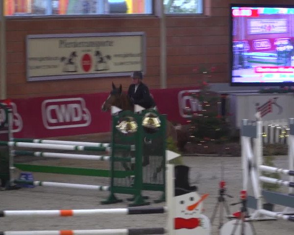Reitturnier Mönchengladbach-Wickrath 2018