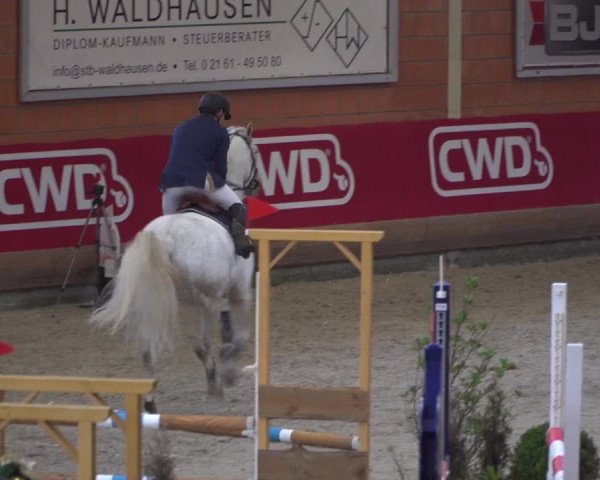 Reitturnier Mönchengladbach-Wickrath 2018