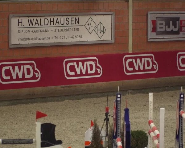 Reitturnier Mönchengladbach-Wickrath 2018
