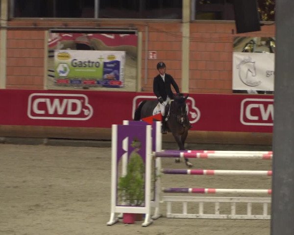 Reitturnier Mönchengladbach-Wickrath 2018