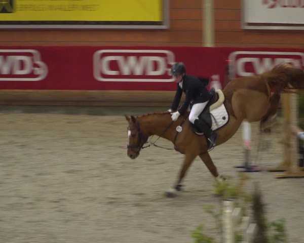 Reitturnier Mönchengladbach-Wickrath 2018