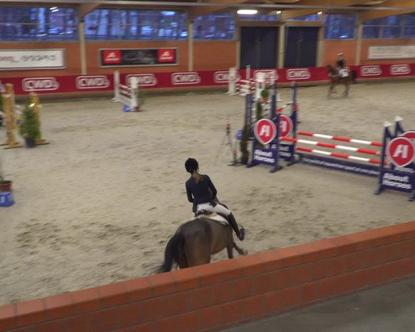 Reitturnier Mönchengladbach-Wickrath 2018