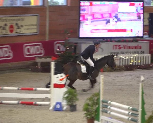 Reitturnier Mönchengladbach-Wickrath 2018