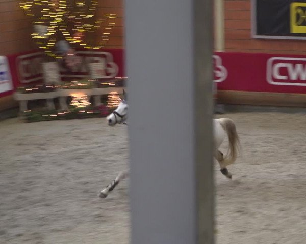 Reitturnier Mönchengladbach-Wickrath 2018