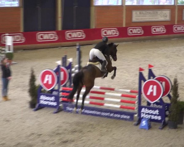 Reitturnier Mönchengladbach-Wickrath 2018