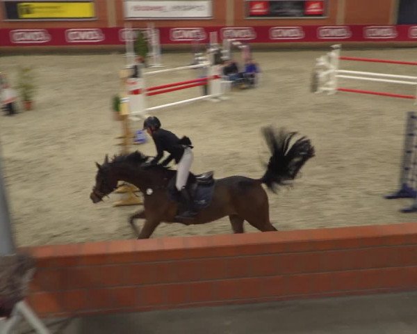 Reitturnier Mönchengladbach-Wickrath 2018