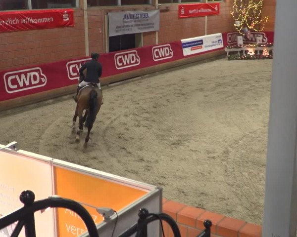 Reitturnier Mönchengladbach-Wickrath 2018