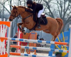 jumper Alia des Cosses (French Pony, 2010, from Royal Aronn du Vassal)