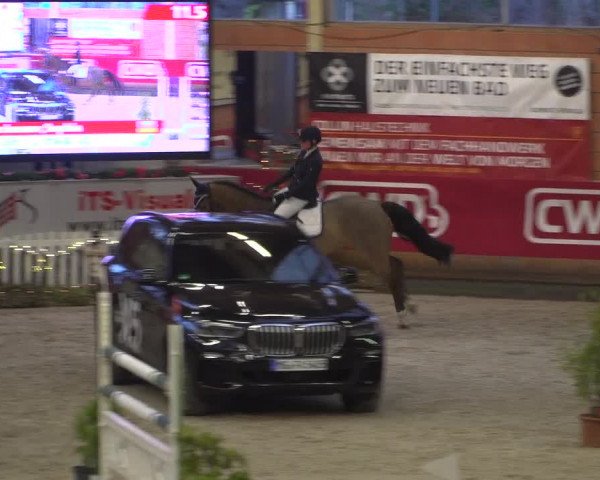 Reitturnier Mönchengladbach-Wickrath 2018