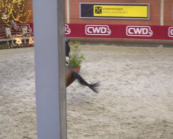 Reitturnier Mönchengladbach-Wickrath 2018