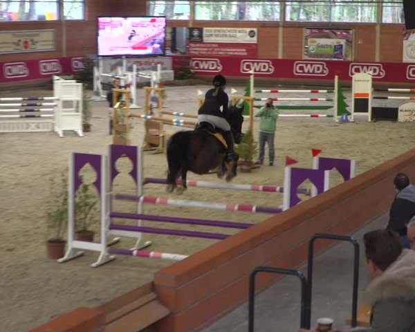 Reitturnier Mönchengladbach-Wickrath 2018