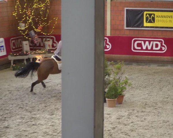 Reitturnier Mönchengladbach-Wickrath 2018