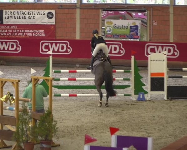 Reitturnier Mönchengladbach-Wickrath 2018