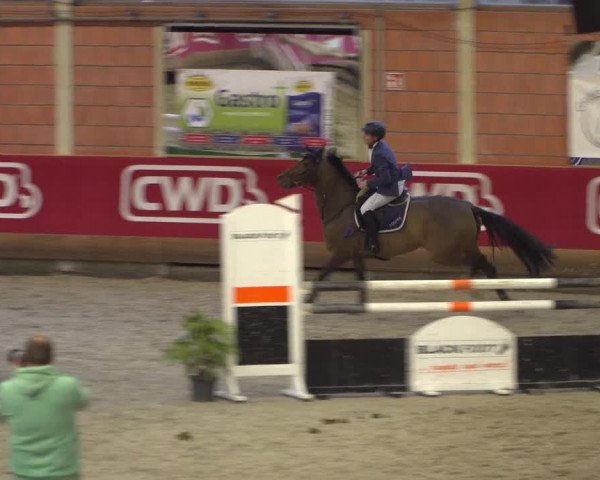 Reitturnier Mönchengladbach-Wickrath 2018