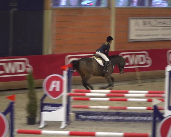 Reitturnier Mönchengladbach-Wickrath 2018