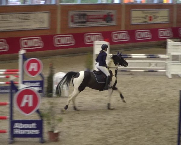Reitturnier Mönchengladbach-Wickrath 2018