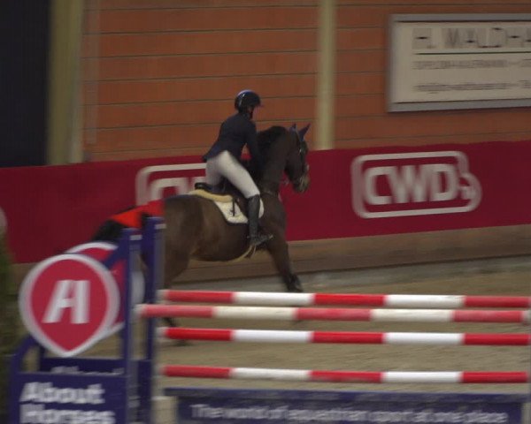 Reitturnier Mönchengladbach-Wickrath 2018