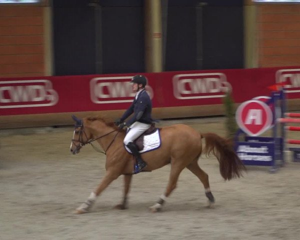 Reitturnier Mönchengladbach-Wickrath 2018