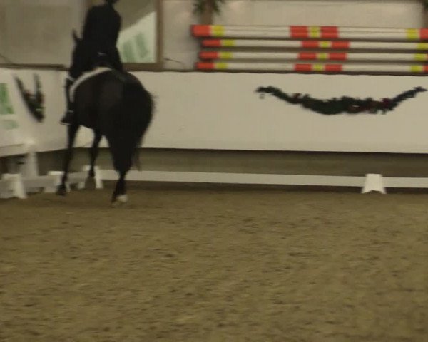 Reitturnier Alt Marl 2018