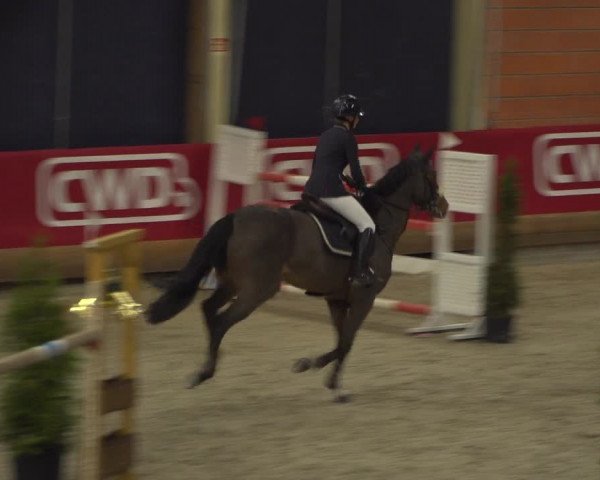 Reitturnier Mönchengladbach-Wickrath 2018