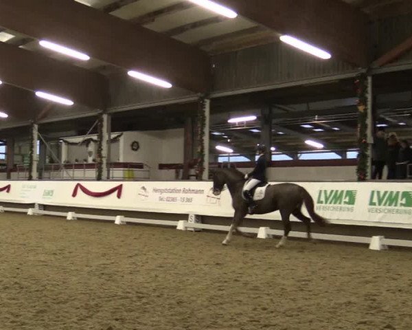 Reitturnier Alt Marl 2018