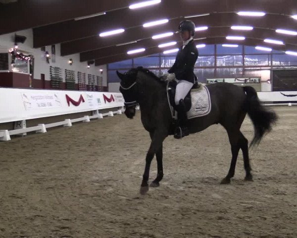 Reitturnier Alt Marl 2018