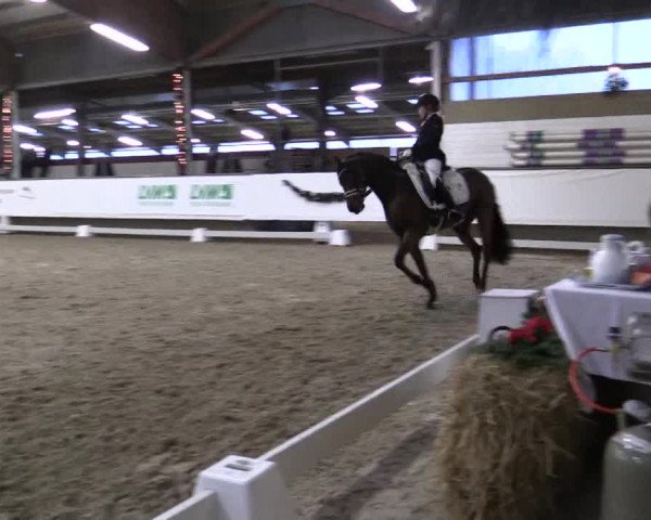 Reitturnier Alt Marl 2018