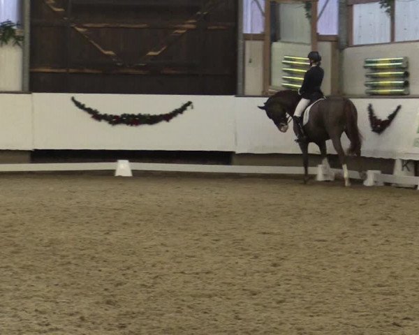 Reitturnier Alt Marl 2018