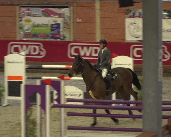 Reitturnier Mönchengladbach-Wickrath 2018