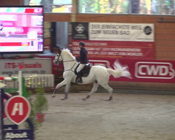 Reitturnier Mönchengladbach-Wickrath 2018