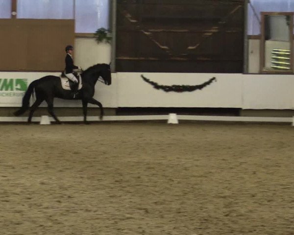 Reitturnier Alt Marl 2018