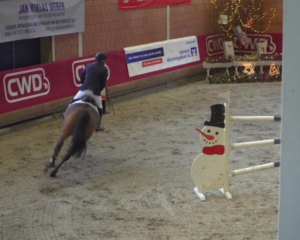 Reitturnier Mönchengladbach-Wickrath 2018